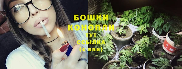 соль ск Бородино
