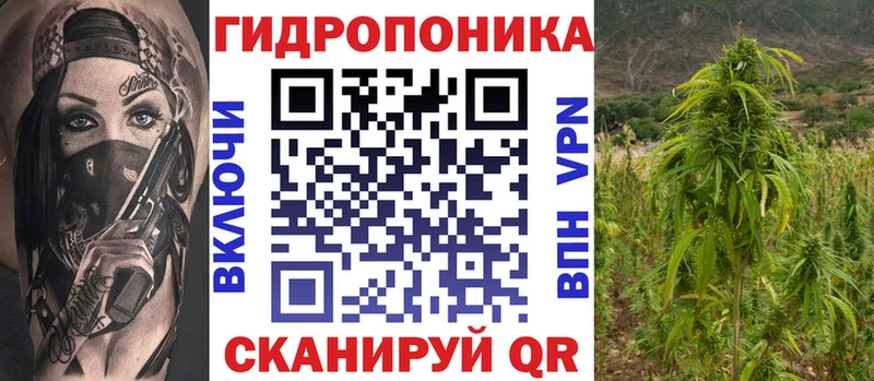 даркнет Telegram  Новоржев  Каннабис план 